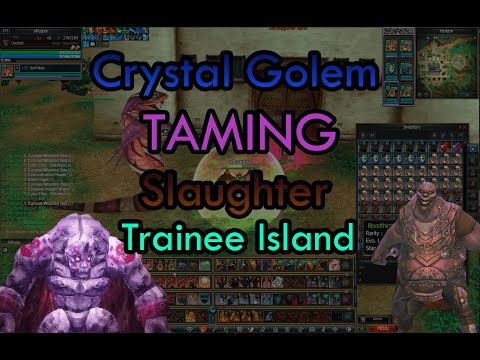 Rappelz Boss Taming Guide 2025 – Crystal Golem & Slaughter Pet Locations & Tips