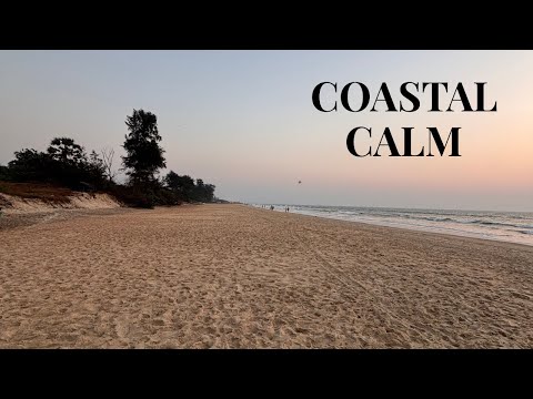 Goa Getaway Featuring Windflower Resorts and Spa x Zest Talpona