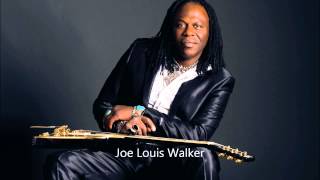 Joe Louis Walker - I Won't Do That