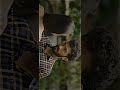 Kitna Pyaara Pyaara Hai Sama 2003 90 S Lofi Song 4K HDR Whatsapp Status Video Abhijeet Alka Yagnik