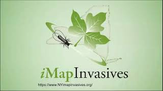 1 - How to create an iMapInvasives account