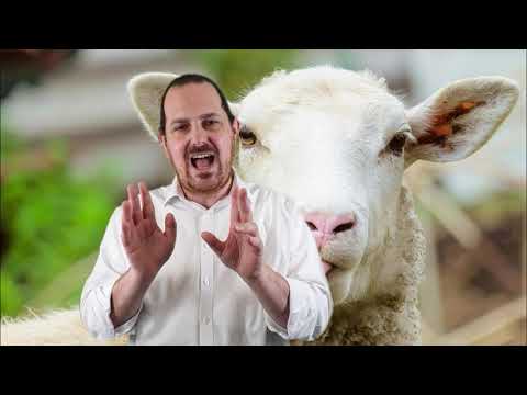 Pesach lamb by Rabbi A Zeidman