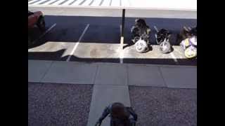 Joseph's Coat by Big Brother & The Holding Co (to some video of my man)