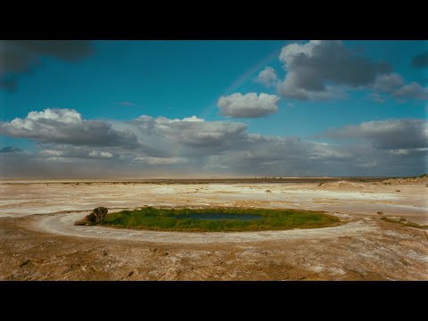 Until The End of The World - "They shot down the satellite" (Peter Gabriel - Blood of Eden) HD