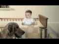 E TRADE Baby Time Out With Dog