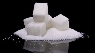 The Secrets of Sugar - the fifth estate