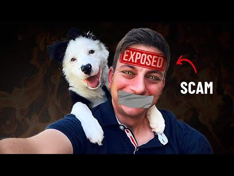 Zak George: Dog training's BIGGEST fraud