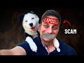 Zak George: Dog training's BIGGEST fraud