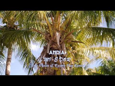 Andia - Mi-e dor (Arty Violin & Kosmy Fun Remix)