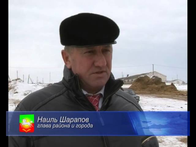 На финишной прямой - к посевной. 