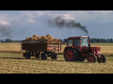 DDR Heu Ernte mit Belarus MTZ 82 & Fortschritt K454 + W50 & ZT 323