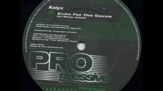 Kalyx- Echo For The Gazza (DJ Remy Remix)