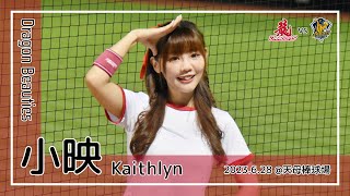 【台湾チア】小映 Kaithlyn / Dragon Beauties小龍女 / 2023.6.28 李凱威,拿莫．伊漾 應援曲 [中文歌詞]