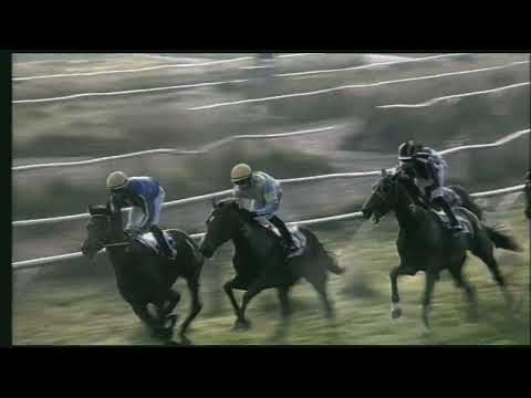 Napoli Galoppo 02/11/2022 - 4ª corsa