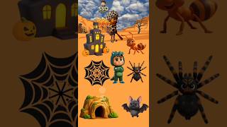 Download lagu Help Match The Spider house ❓‼️ #cartoon #english #shorts #Funny mp3 Download lagu Help Match The Spider house ❓‼️ #cartoon #english #shorts #Funny mp3
