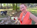 Cooling Show Vegetables On Fire BBQ Cooking In A Mountain Village Mila Naturist