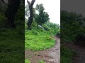 Nature S Masterpiece Heaven On Earth ️ Nature Trending Rainyday Monsoon Mountains