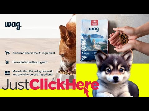 Amazon Brand  Wag Dry Dog Food - #amazonbrand #wag freeze dried dog treat tasting with my dogs  #usa