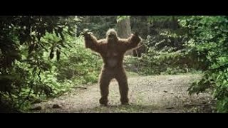 preview picture of video 'WE SHOT BIGFOOT!'