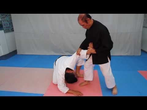 No 19 Juji Gatame