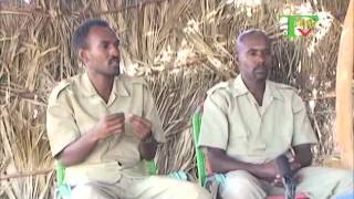 TPDM TV TIGRIGNA INTERVIEW with combatants asefa brhane &amp;  afewerki fsha part 2 08 07 2015