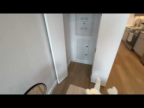 video 1