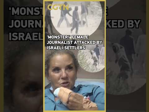 Washington Post photojournalist Heidi Levine describes being brutally beaten in West Bank