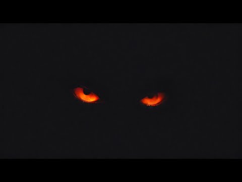 Droplex - Come Here (Original Mix)