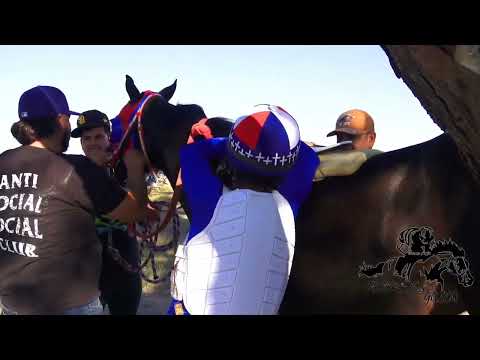 El Pumita 🐎  Cuadra Santa Fe de Don Mario La Gary  va La Chispa Cuadra 4 Ases Carril San Julian Jal