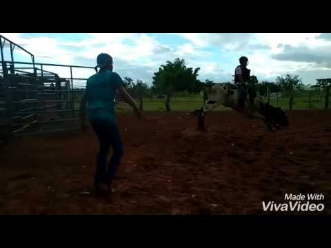 Marcelo vs volverine