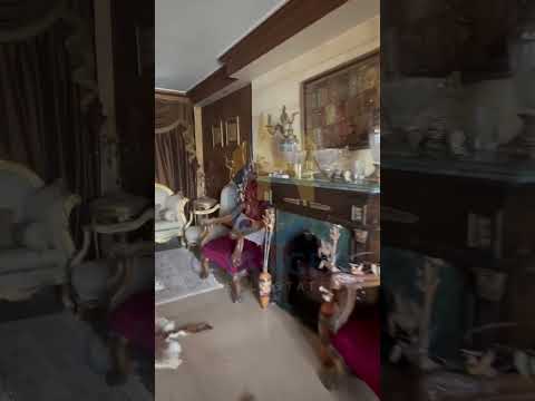 صورة مصغرة لفيديو العقار