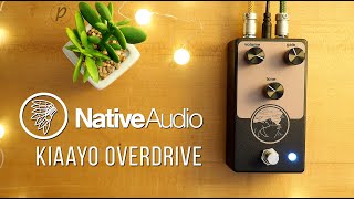 Video thumbnail for NativeAudio Kiaayo Overdrive by Pedal of the Day