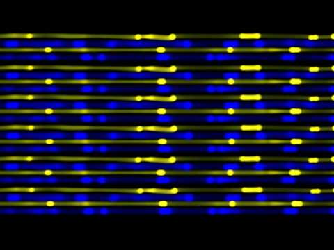 Club Visuals 355 - Free Background Video HD