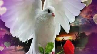 Eule - Steh auf Mädchen 🎶