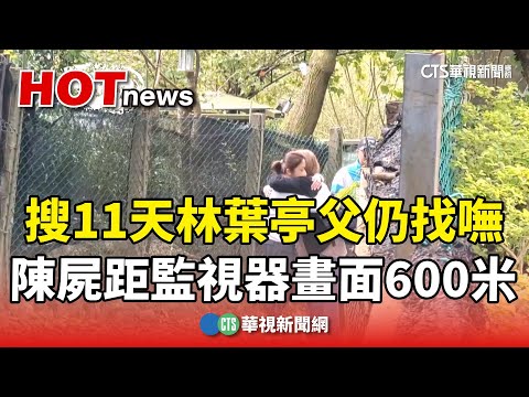 搜11天仍找嘸　林葉亭父陳屍距監視器畫面600米