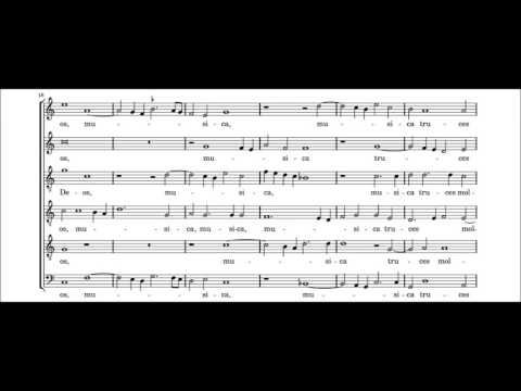 Orlando Lasso - Musica Dei donum optimi