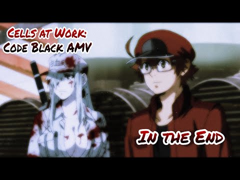 2 New Original Characters!  Cells at Work(Hataraku Saibou) Amino