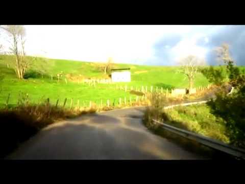 Forest For The Trees - Taxiride