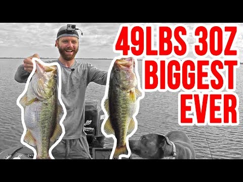INSANE 49lbs 3oz Fishing for Bass ~ Biggest Bag Ever on YouTube