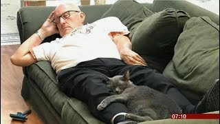 Animal shelter helper - cat naps instead (USA) - BBC News - 23rd September 2018
