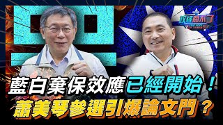 Re: [討論] 彭P：蕭美琴參選是明年大選未爆彈