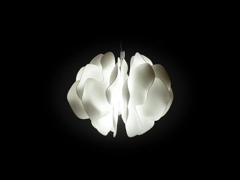 Видеообзор