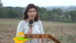 Miniatura do vídeo