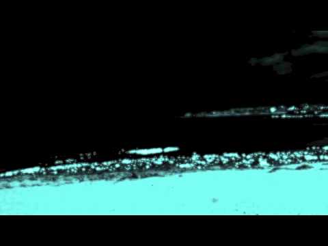 Atoms For Peace - Default (Heartbeat Remix)