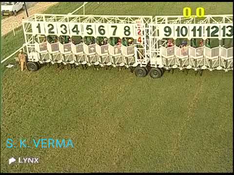 The Digamist Plate Winner MR STUNNING