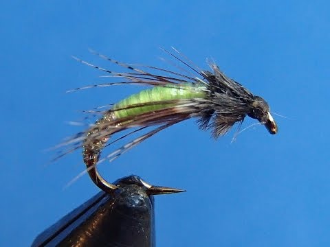 Barr's Graphic Caddis