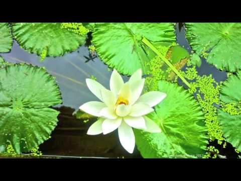 SOFT PIANO MUSIC - Meditation in Kammermusiksaal Berlin -