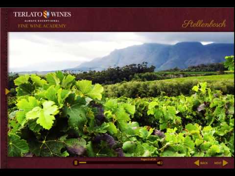 download lagu mp3 mp4 Best South African Red Wines 2015, download lagu Best South African Red Wines 2015 gratis, unduh video klip Best South African Red Wines 2015
