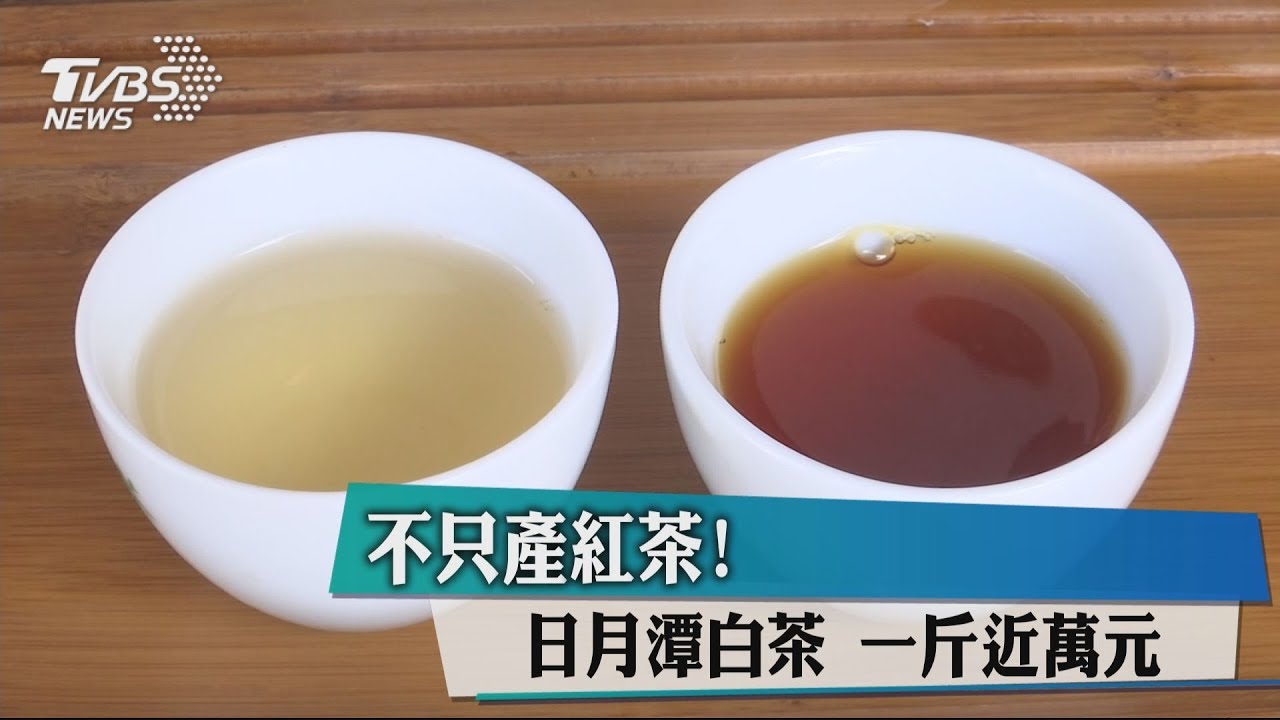 不只產紅茶!日月潭白茶 一斤近萬元