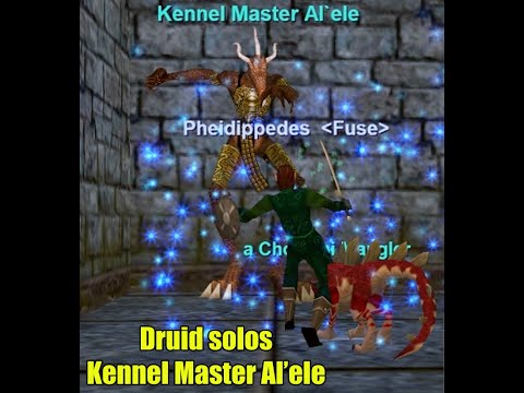 Druid Solos Kennel Master Al'ele, Chardok, P99 EverQuest